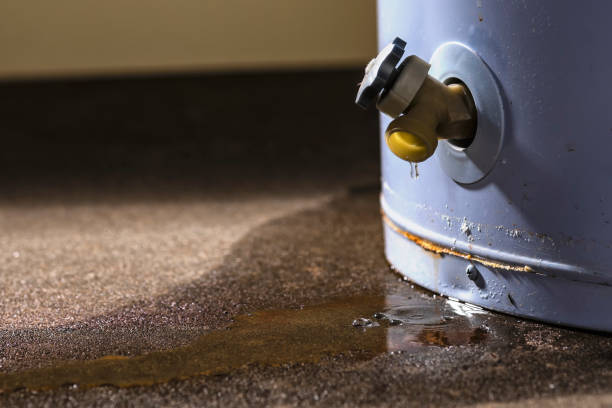 Best Mold removal after water damage  in Manchester, NH