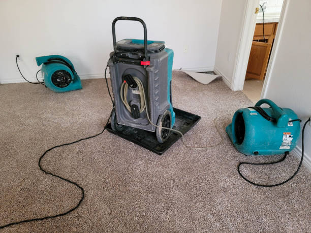 Best Water damage restoration company  in Manchester, NH
