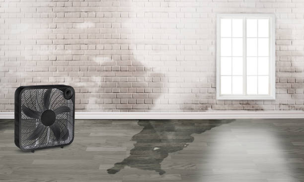 Trusted Manchester, NH Water damage restoration Experts