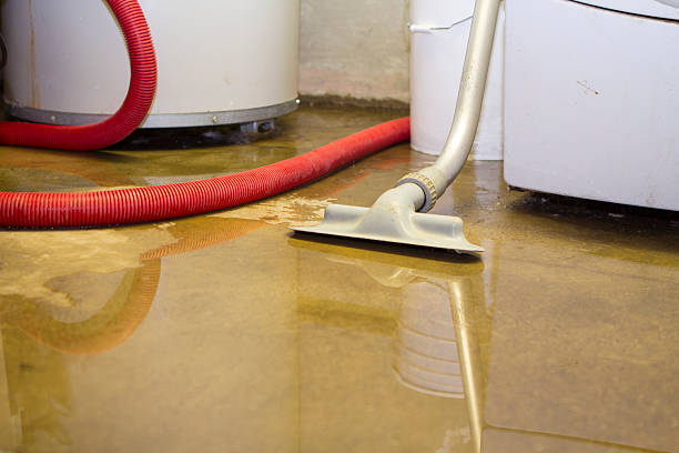 Best 24/7 water damage repair  in Manchester, NH
