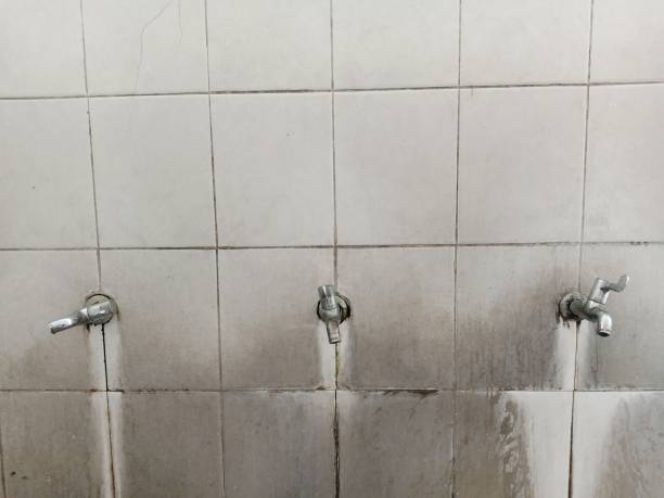 Best Flood restoration services  in Manchester, NH