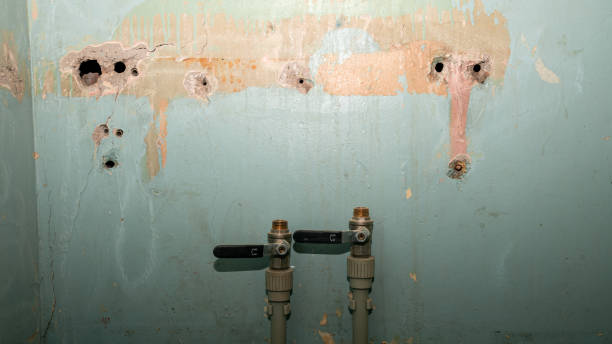 Best Ceiling water damage repair  in Manchester, NH