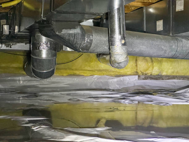 Best Professional water damage repair  in Manchester, NH