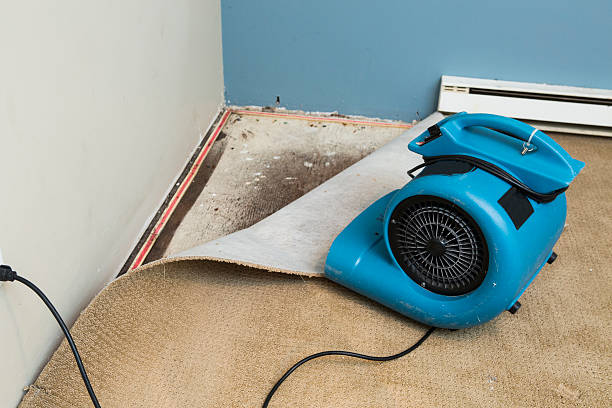 Best Local water damage restoration  in Manchester, NH